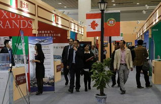 2015山东海外房产投资开启新纪元 专访澳加美联国际集团总裁王国栋