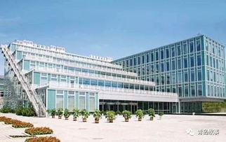 青岛故事 青岛卷烟厂的今生前世与山东房地产的变迁