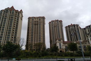 青岛房产市场动态 主要媒体平台全面解析