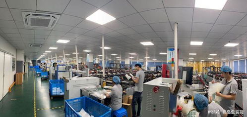 山东面粉袋加工厂主要生产材质与房地产关联分析