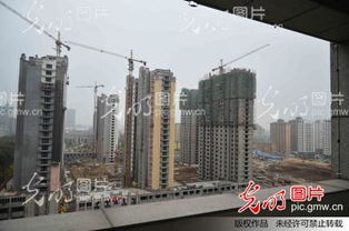 山东楼市回暖 前三季度房产销售同比增长24.9%，住宅市场需求旺盛
